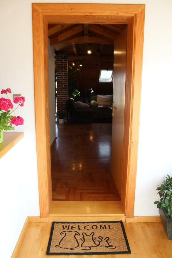 Apartment Ruzica Sukošan Extérieur photo